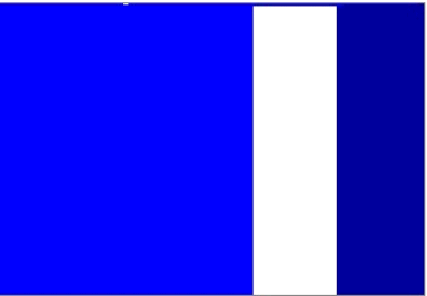 Flag of MAS